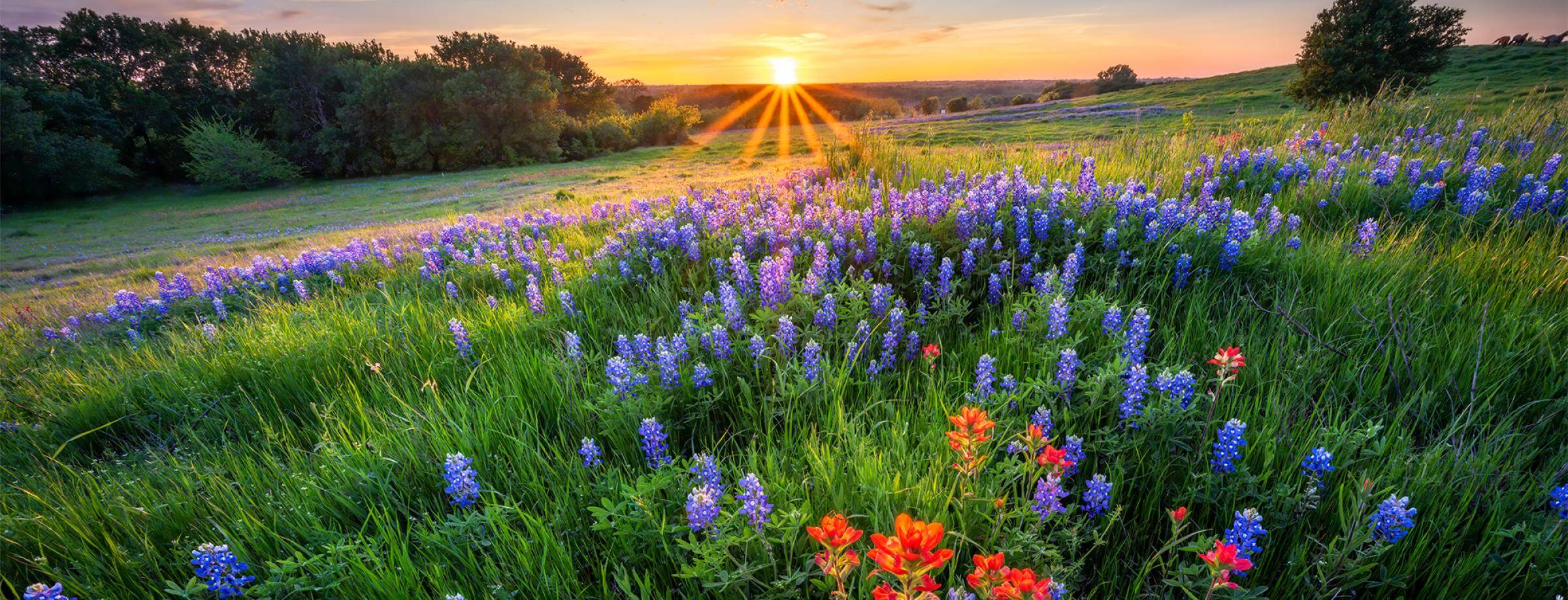 Texas Hill Country